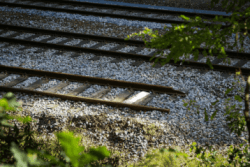 The-story-of-an-hour-Kate-Chopin