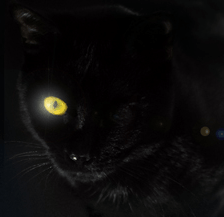 Edgar-Allan-Poe-The-black-cat-One-eye